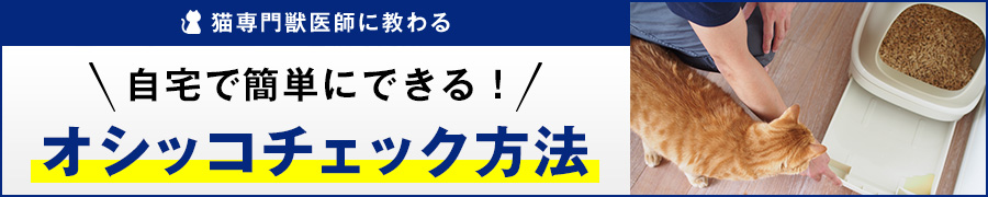 猫専門獣医師に教わる 自宅で簡単にできる！オシッコチェック方法