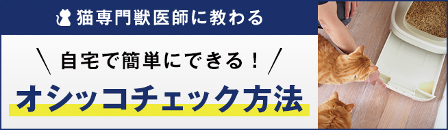 猫専門獣医師に教わる 自宅で簡単にできる！オシッコチェック方法
