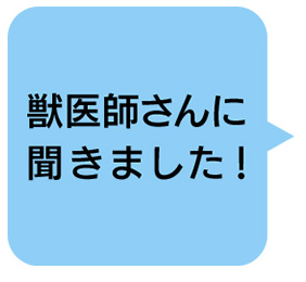 獣医師さんに聞きました！