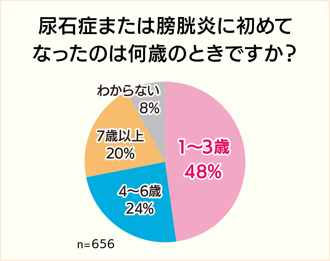 アンケート：尿石症または膀胱炎に初めてなったのは何歳のときですか？　1～3歳 48%、4～6歳 24%、7歳以上 20%、わからない 8%