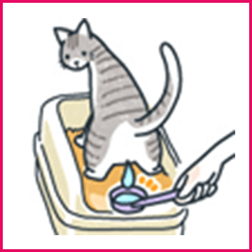 イラスト:猫のオシッコをお玉で採る