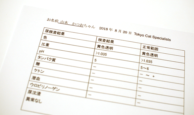 尿検査の診断結果イメージ
