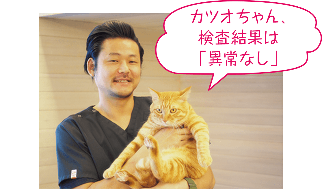 山本宗伸先生と愛猫のカツオちゃんの写真。カツオちゃんの検査結果は「異常なし」
